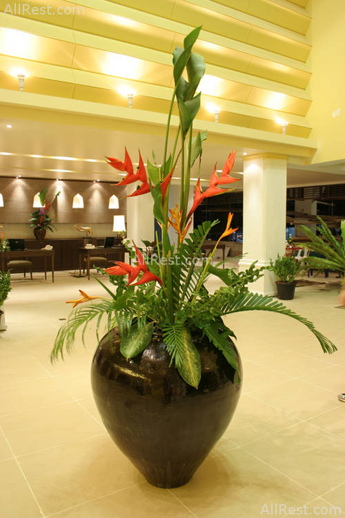 Patong Paragon Hotel 25